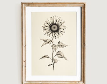 Arte de boceto de girasol rústico / Arte de pared de granja antigua con dibujos lineales /