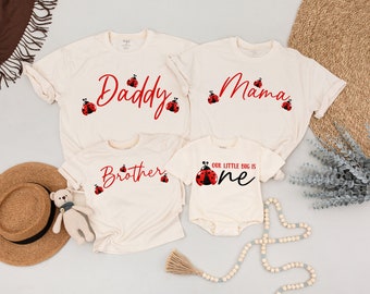 Ladybug Birthday Outfit, First Birthday Shirt, Matching Family Ladybug Tees,Mommy and Me Ladybug Shirt, Cute Bug Theme Birthday Party Outfit