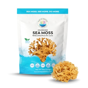8 oz Package | Makes 200 oz of Gel | PURE SEABIOTICS Sea Moss from St. Lucia Raw Golden | Dr. Sebi Inspired | Irish Moss | 100% Natural Wild