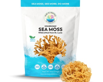 Rohes goldenes Seemoos: Wildcrafted St. Lucia, 4oz