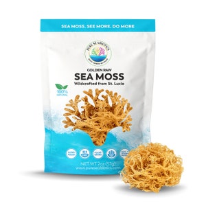 2 oz Package | Makes 50 oz of Gel | PURE SEABIOTICS Sea Moss from St. Lucia Raw Golden | Dr. Sebi Inspired | Irish Moss | 100% Natural Wild