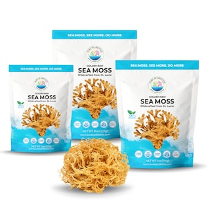 PURE SEABIOTICS Sea Moss from St. Lucia Raw Golden | Dr. Sebi Inspired | Irish Moss | 100% Natural Wildcrafted Sun-Dried | Hair Skin Joints