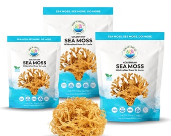 St. Lucia Sea Moss: Rohes Golden, Wildcrafted, Dr. Sebi Inspiriert