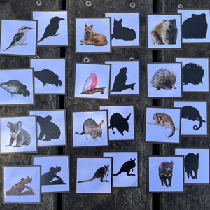 Australian Animal Silhouette Memory Game, Matching Game, Flashcards, Toddler Activity, Printable, Native Animals, Montessori, DIY Games