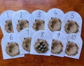 Easter Activity, Playdoh Mat, Play Dough Mat, Numbers 1-10, Counting Activity, Toddler Easter Gift, Montessori, Homeschool, Toddler Counting