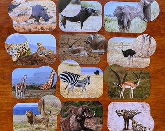 May include: A collage of 10 images featuring various animals, including a cheetah, an ostrich, a zebra, a hyena, a lion, a water buffalo, a giraffe, an elephant, a rhinoceros, and a gazelle. The images are arranged in a grid pattern on a wooden background.