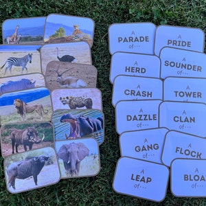 Puede incluir: Un juego de 18 cartas con imágenes de diferentes animales africanos y sus nombres colectivos. Las cartas son marrones con un fondo azul claro y texto negro. El texto en las cartas incluye "Una parada de...", "Una manada", "Una manada", "Una piara de...", "Una manada", "Una torre", "Un deslumbramiento de...", "Un clan de...", "Una pandilla de...", "Una bandada", "Un salto de...", y "Una masa de..."