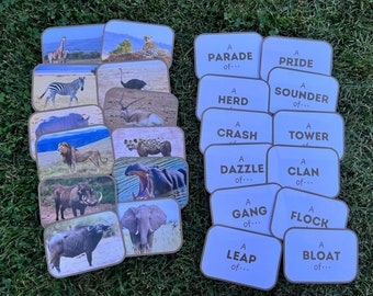 May include: A set of 18 cards with images of different African animals and their collective nouns. The cards are brown with a light blue background and black text. The text on the cards includes "A Parade of...", "A Pride", "A Herd", "A Sounder of...", "A Crash", "A Tower", "A Dazzle of...", "A Clan of...", "A Gang of...", "A Flock", "A Leap of...", and "A Bloat of..."