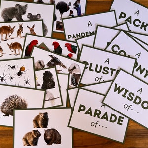 Nomi collettivi, Attività di abbinamento, Gioco di memoria, Animali australiani, Flashcard, Ordinamento, Montessori, Scuola a domicilio, Attività per bambini stampabili