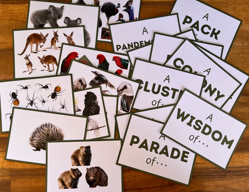 Kollektiva substantiv, Matchningsaktivitet, Memoryspel, Australiska djur, Flashcards, Sortering, Montessori, Hemundervisning, Utskrivbara barnaktiviteter bild 1