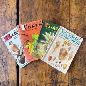 May include: Four vintage Golden Nature Guides: "Birds," "Trees," "Flowers," and "Sea Shells of the World." The books feature colorful illustrations and text, with titles in bold, and are arranged on a wooden surface.