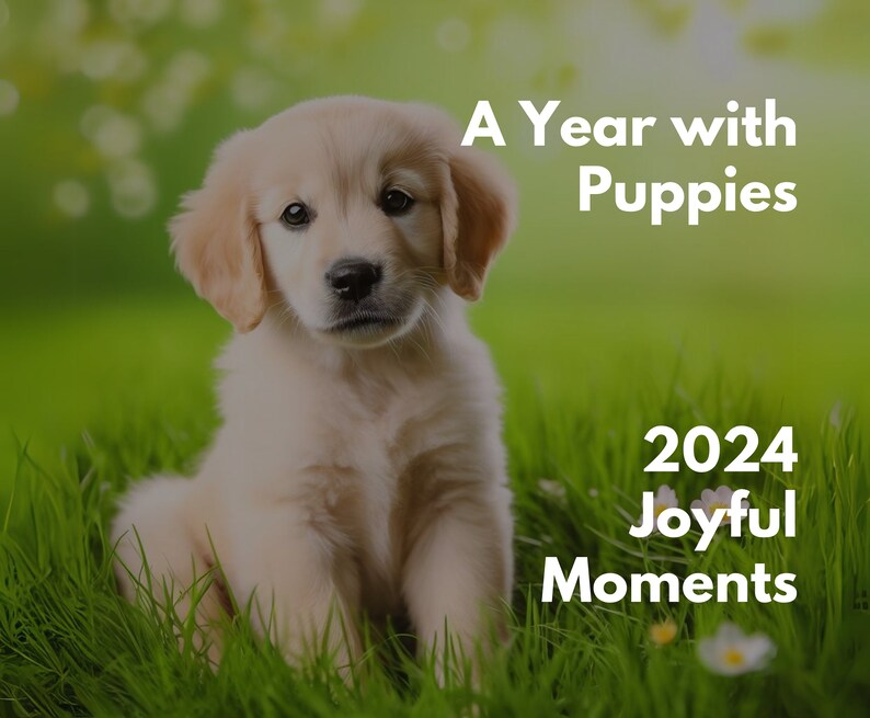2024 Cute Puppy Calendar A Year With Puppies Etsy