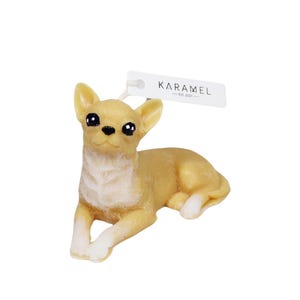 Chihuahua Candle (Small) | Dog Candle | Puppy Candle