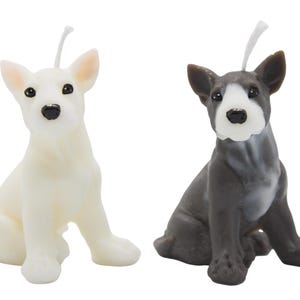 Bull Terrier Candle | Dog Candle | Puppy Candle