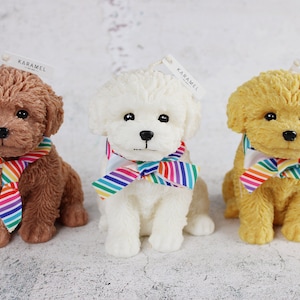 Rainbow Toy Poodle Candle | Dog Candle | Puppy Candle