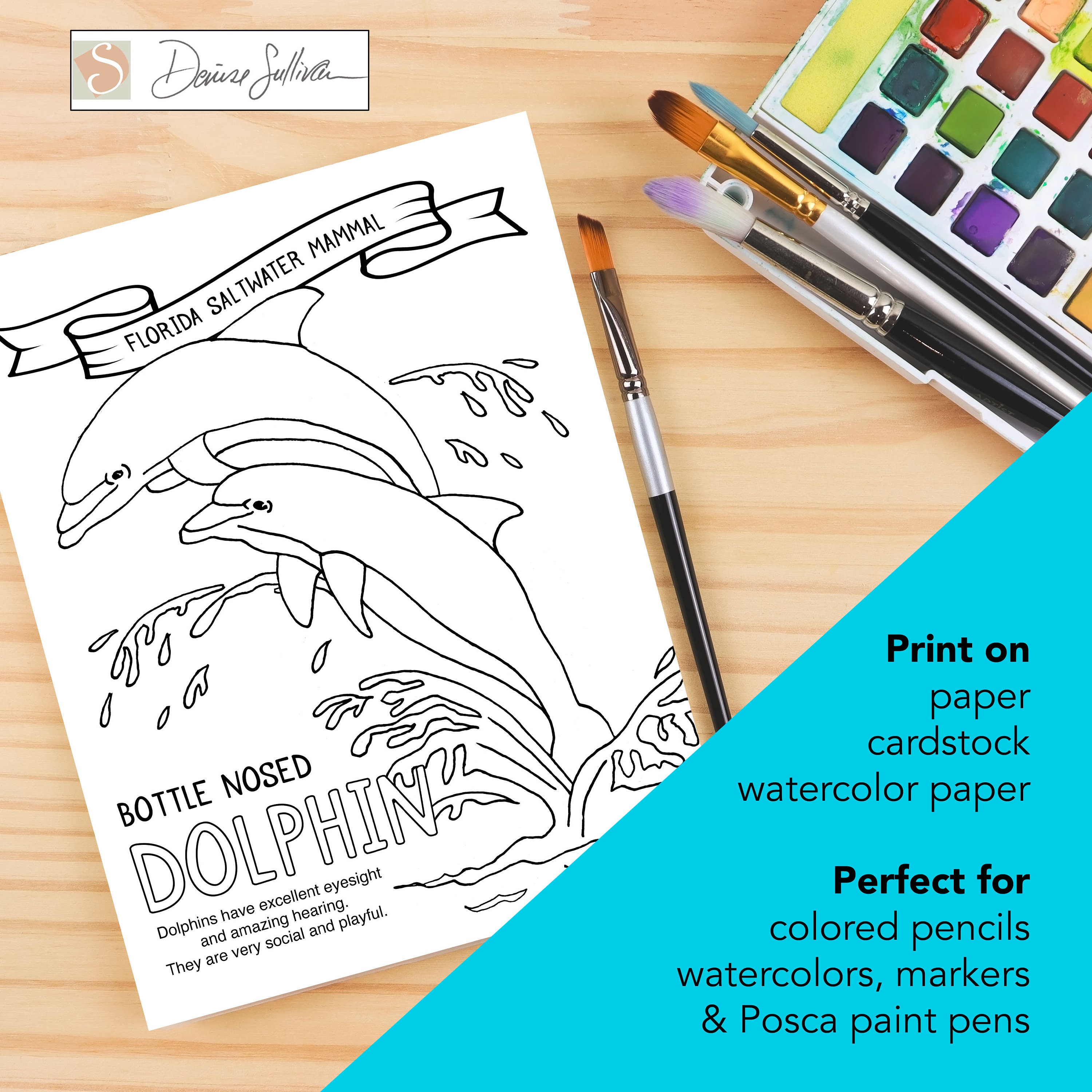 Florida State Symbols Coloring Pages | Printable Coloring USA Facts - Etsy