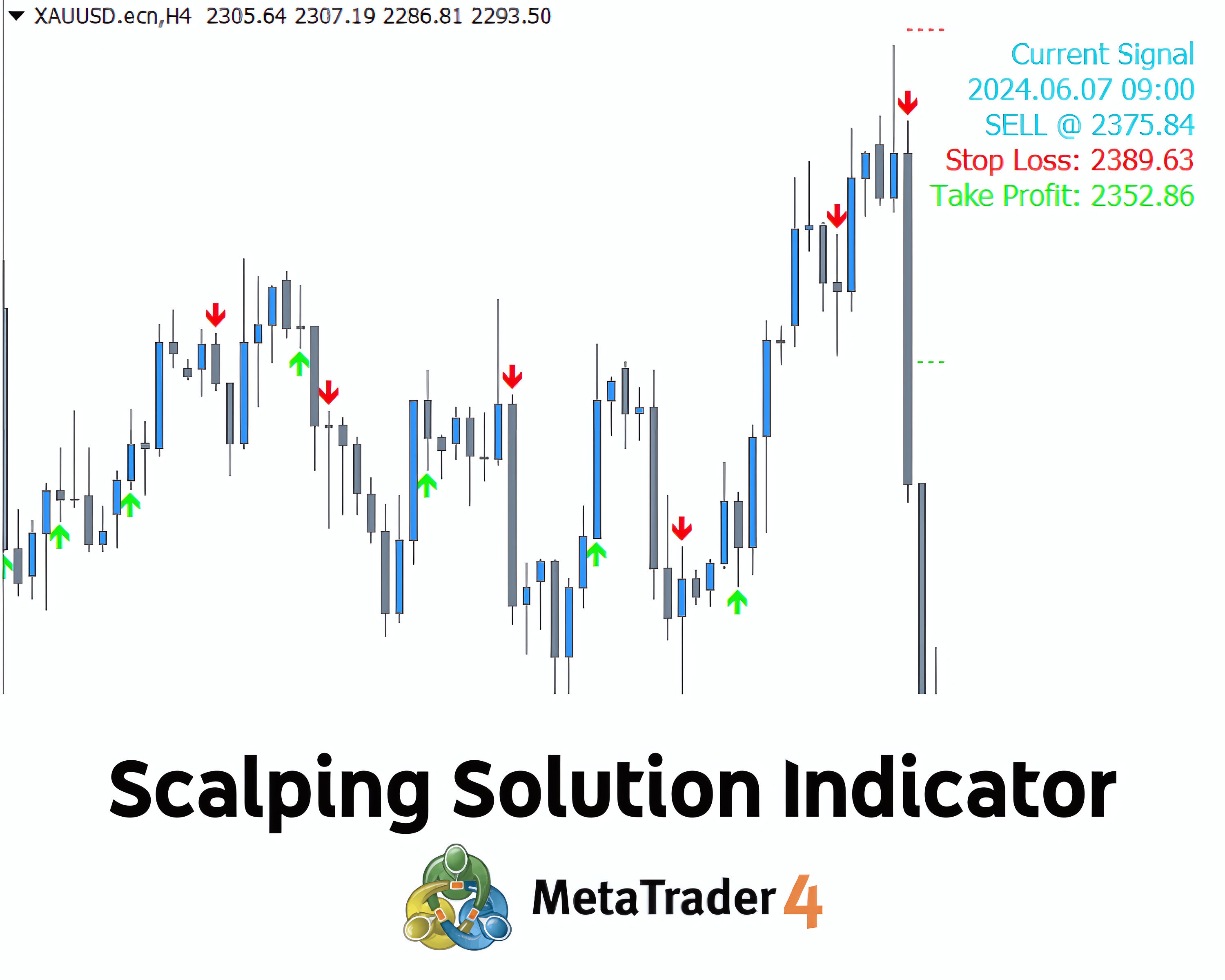 Indicators for Scalping - Etsy