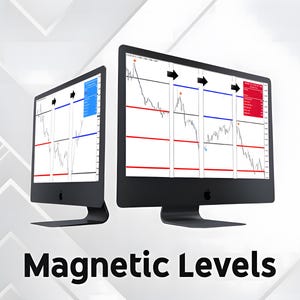 May include: Two computer screens displaying charts with red and blue lines, arrows, and numbers. The text "Magnetic Levels" is displayed below the screens.
