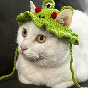 Frog Hat for cat and small dog cute style photo prop for pets funny pet hat outfit crochet handmade