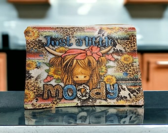 Shimmering Cosmetic Bag: "Just a little Moody" Pen Case