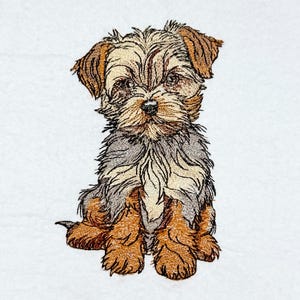 May include: A brown and black Yorkshire Terrier puppy sitting with its paws crossed. The puppy has a long, fluffy coat and big, brown eyes.