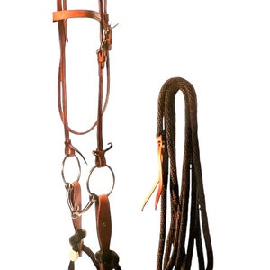 May include: A brown leather horse bridle with a silver bit and a black rope rein.