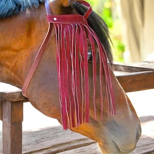 Puede incluir: Un caballo marr&oacute;n con una crin y cola negras que lleva una m&aacute;scara de moscas de cuero rojo con flecos.