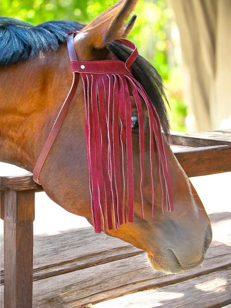 Puede incluir: Un caballo marr&oacute;n con una crin y cola negras que lleva una m&aacute;scara de moscas de cuero rojo con flecos.
