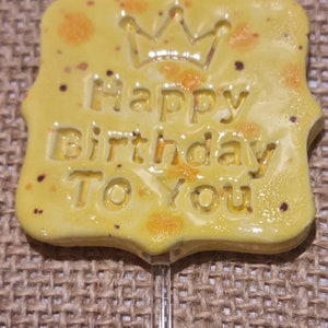 Plant Pop, Message Stick, Plant Sign, Happy Birthday Message, Handmade Pottery, Gift Label, Happy Birthday Gift Tag, Ceramic Pot Plant Label