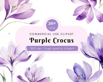 Watercolor Crocus Clipart, Spring Flowers, Purple Crocus Clipart, Flower Clipart, Wedding Flower, Wedding Stationery Art, Floral Wall Art