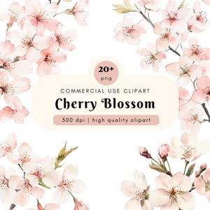 Watercolor Cherry Blossom Clipart, Sakura Spring Clipart, Sakura Flowers, Spring Flowers, Watercolor Clipart, Wedding Stationery Art