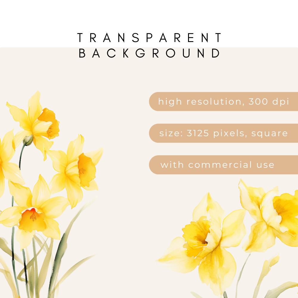 Watercolor Daffodil Clipart, Yellow Daffodil, Spring Flower Clipart ...