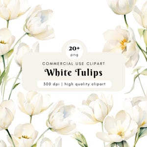 Aquarel witte tulpen clipart, clipart tulpen, witte bruiloft bloem, bloemen clipart, bruiloft briefpapier, aquarel clipart, lentebloem
