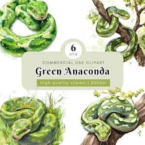 May include: Six watercolor illustrations of green anaconda snakes in various poses. The snakes are depicted in a realistic style with detailed scales and patterns. The illustrations are set against a white background with some green foliage.