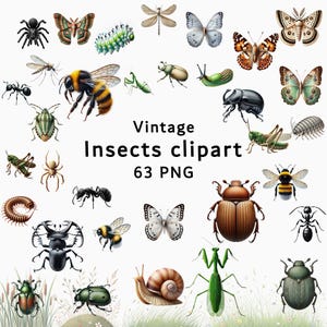 Vintage Insect Clipart Bundle, Entomology Insect PNG Set, Retro Botanical Insects clipart, Bug clipart set, Entomology illustrations PNG