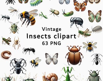 Paquete de imágenes prediseñadas de insectos vintage, conjunto de imágenes PNG de insectos de entomología, imágenes prediseñadas de insectos botánicos retro, conjunto de imágenes prediseñadas de insectos, ilustraciones PNG de entomología