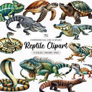 Vintage Watercolor Reptile Clipart Bundle: Lizard, Snake, Turtle PNG , Exotic Animals Clipart, Lizard Illustrations