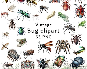 Vintage Insect Clipart PNG Bundle, Retro Bug Images, Antique Bug Clipart Set, Vintage Entomology PNG, Scrapbook & Junk Journal Ephemera
