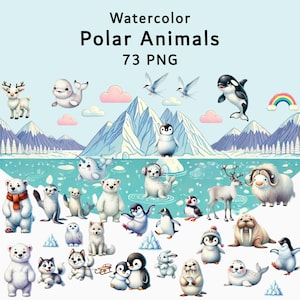 Polar Animals Clipart PNG Bundle, Arctic Wildlife Illustrations, Winter Animal Digital Download,  Arctic Animals PNG Cute Polar Bear Clipart