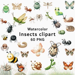 Watercolor Insect Clipart, Watercolor Bugs PNG, Butterfly Clipart, Dragonfly, Beetle, Ladybug, Bee, Moth, Caterpillar, Realistic Insects PNG