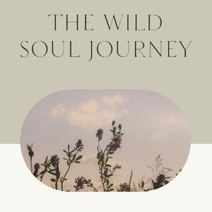 May include: A journal cover with the text "THE WILD SOUL JOURNEY" in a serif font. Below the text is an oval image of purple wildflowers against a sunset sky. The text "A GUIDED SELF-DISCOVERY AND TRANSFORMATION JOURNAL" is at the bottom.