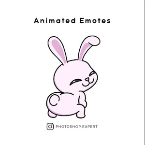 Custom Animated Twitch Emotes, Discord  Emotes, Kick Emotes, Youtube Emotes, Emote, Emotes