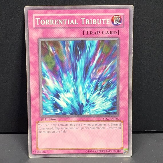 Yu-gi-oh! TCG: Torrential Tribute SD2-EN025 Common 1st Edition