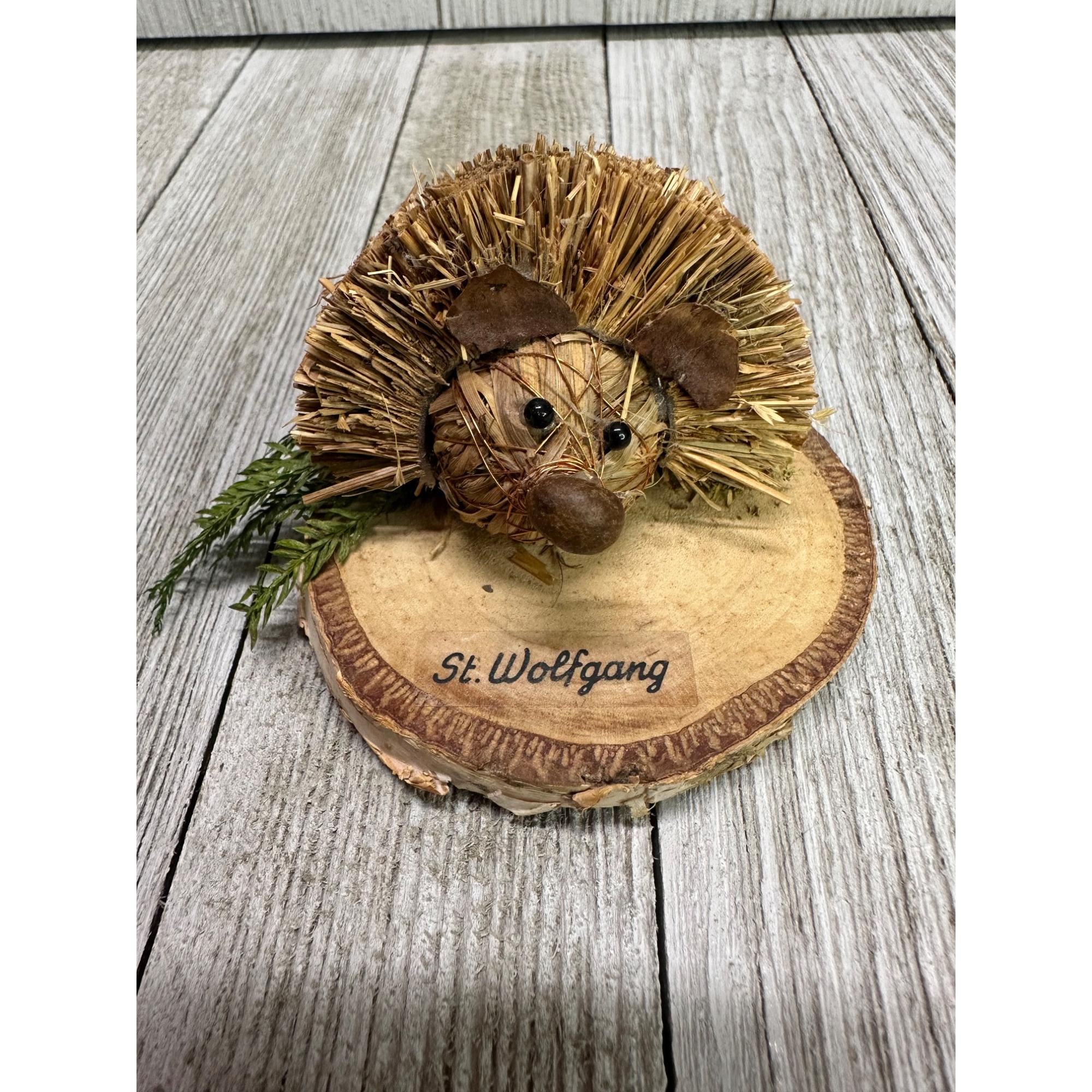 Vintage Saint Wolfgang Austria Hedgehog Souvenir with Natural Bristle Detail