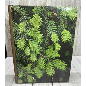 Puede incluir: Un libro de tapa dura con una portada que presenta una imagen de primer plano de agujas de pino verde brillante sobre un fondo oscuro. El lomo del libro es de color marrón cálido y la estética general se centra en la naturaleza.