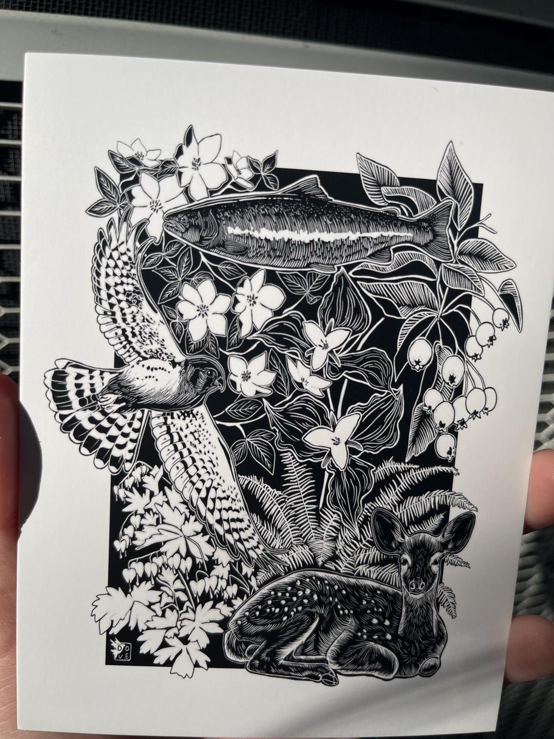 Follow We R Native Oregon Native Flora and Fauna **original Art Postcard** - Etsy Australia