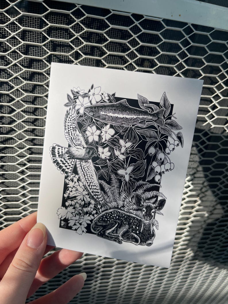 Follow We R Native Oregon Native Flora and Fauna **original Art Postcard** - Etsy Australia