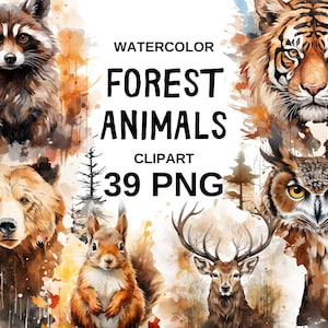 39 animaux de la forêt, aquarelle animaux de la forêt PNG, animaux vivants de la forêt, cliparts pour chambre d'enfant, animaux de la forêt PNG, cerf, ours, renard, raton laveur