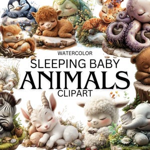 35 Watercolor Sleeping Cute Baby Animals Clipart Pack, Animals Pack Clip Art, Cute Baby Animals Png, Kids Room Wall Art, Commercial Use