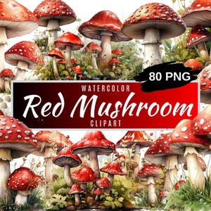 Red Mushroom Watercolor Clipart, Mushroom Forest Art, Fantasy Clipart, Red Mushroom Pack PNG, Instant Download FOREST Clipart,